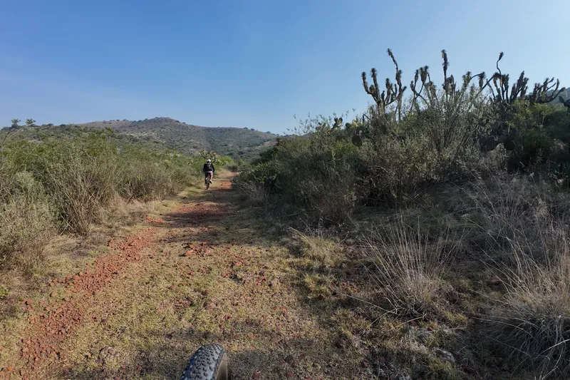 Barranca de la Colmena — Foto 2