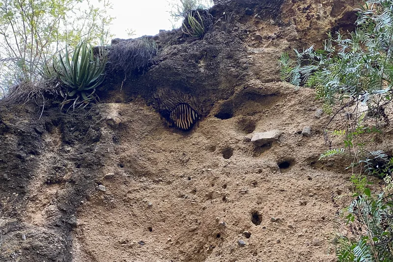 Barranca de la Colmena — Foto 7