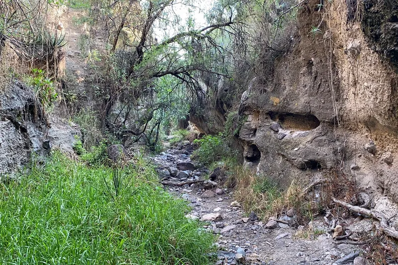 Barranca de la Colmena — Foto 8