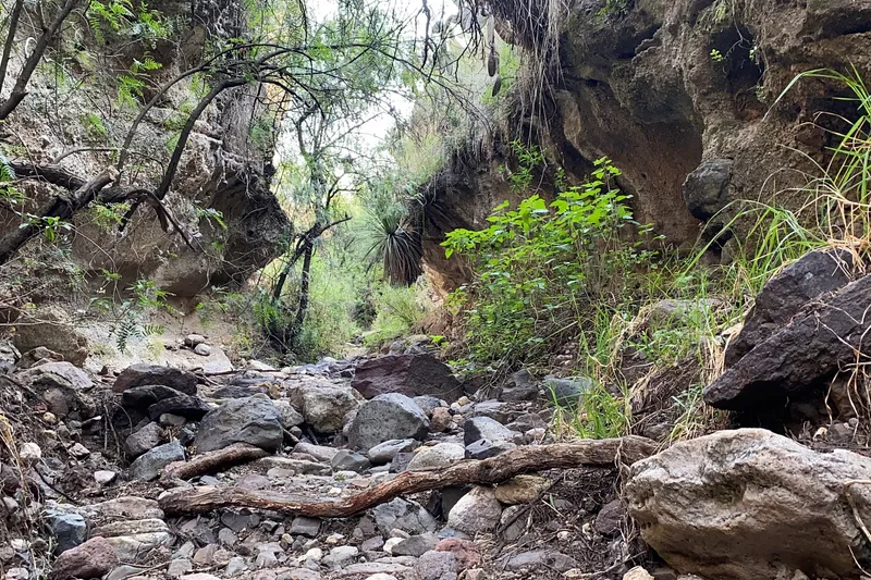 Barranca de la Colmena — Foto 9