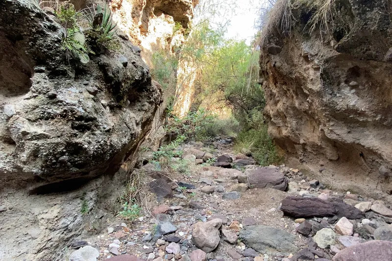Barranca de la Colmena — Foto 10