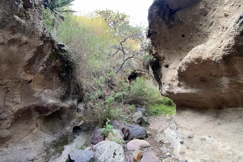 Barranca de la Colmena — Foto 11