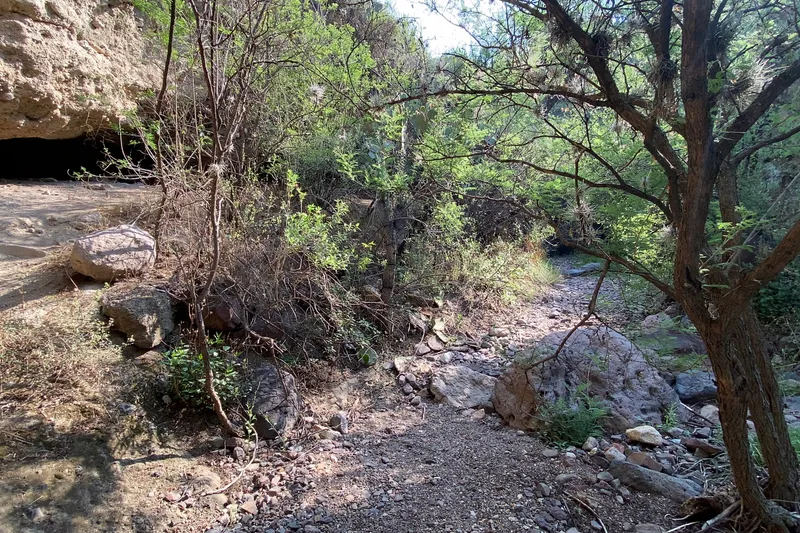 Barranca de la Colmena — Foto 12