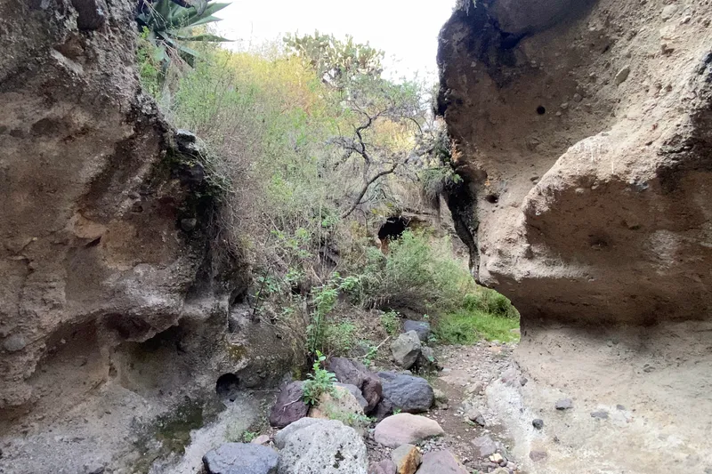 Barranca de la Colmena — Foto 13